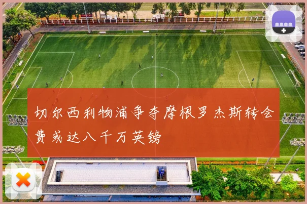 切尔西利物浦争夺摩根罗杰斯转会费或达八千万英镑
