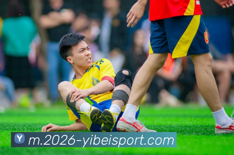 易倍体育APP 封面图